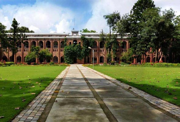Lotus International Academy